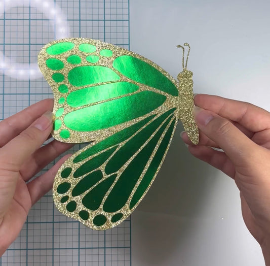 Butterfly Money Card